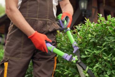 Grounds Maintenance Service in Birmingham
