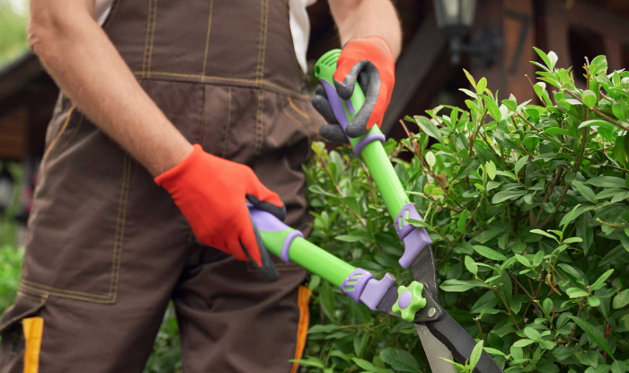 Grounds Maintenance Service in Birmingham