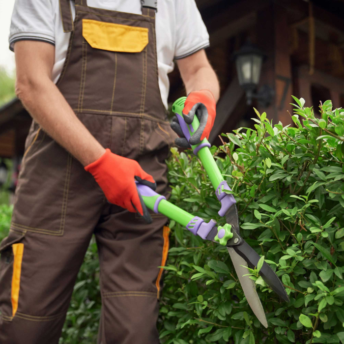 Grounds Maintenance Service in Birmingham